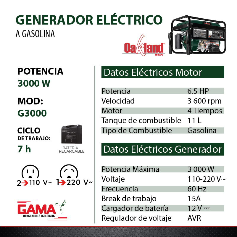 OAKG3000 -3