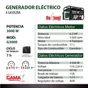 OAKG3000 -3