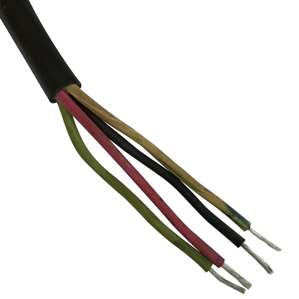 ESACM60 (5).webp