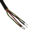 ESACM60 (5).webp