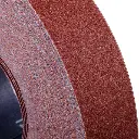 FAN1917 (3).webp