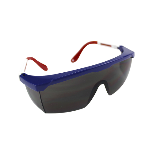 [WLDPROLPANG] LENTE PANORAMICO GRIS CUBIERTA ENDURECIDA (SVS111-US02)